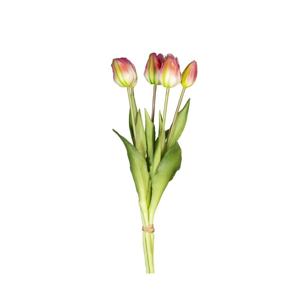 BUSH TULIPANO X5 REAL TOUCH VERDE FUXIA